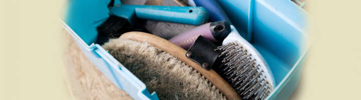 putzboxen kategorieeinstiegsbanner